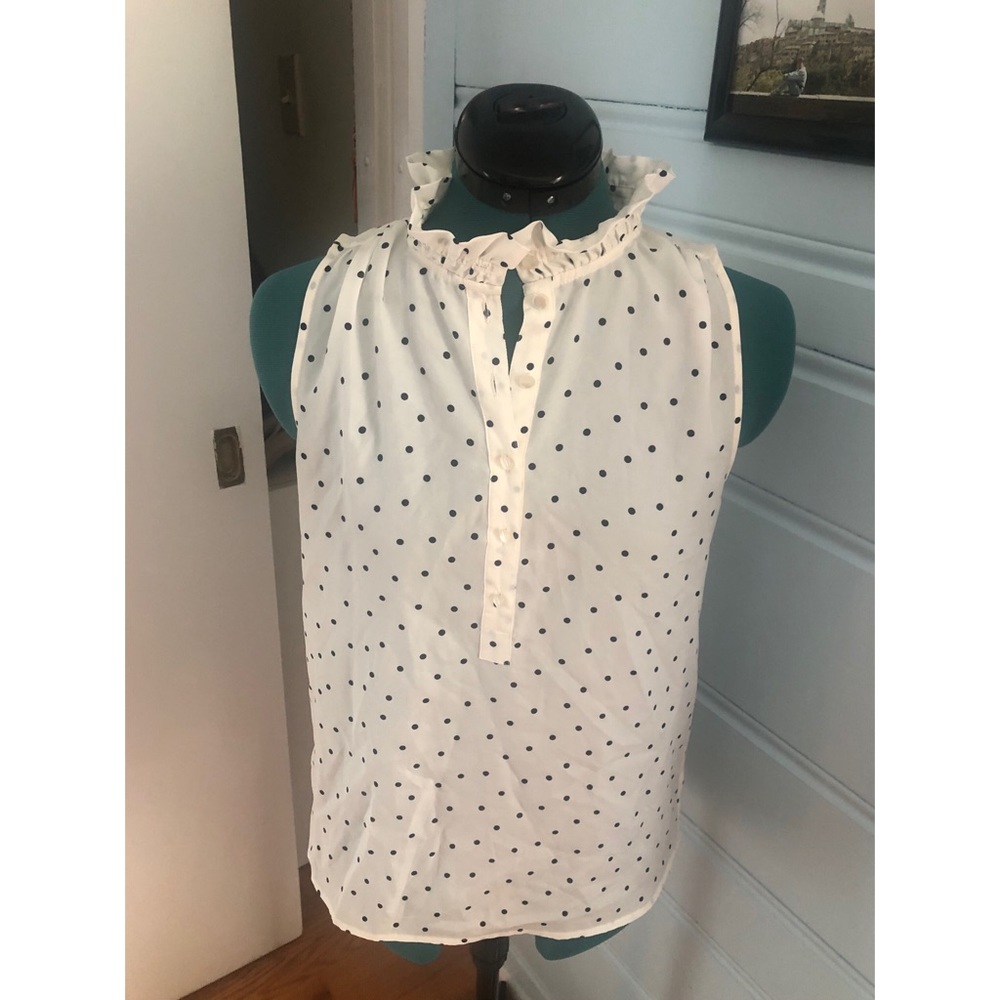 JCrew Polka Dot Blouse